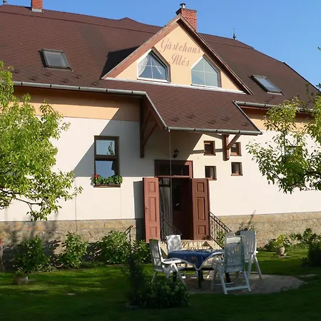 Pensjonat Illes Vendeghaz Keszthely