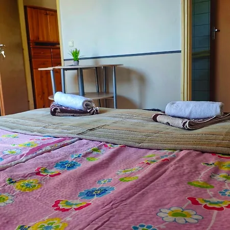 以利亚小屋旅馆 招待所 *